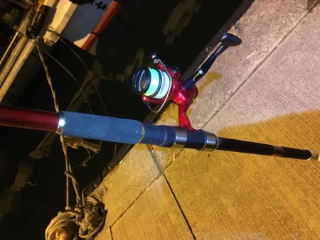 イワシ、アジ、サバ